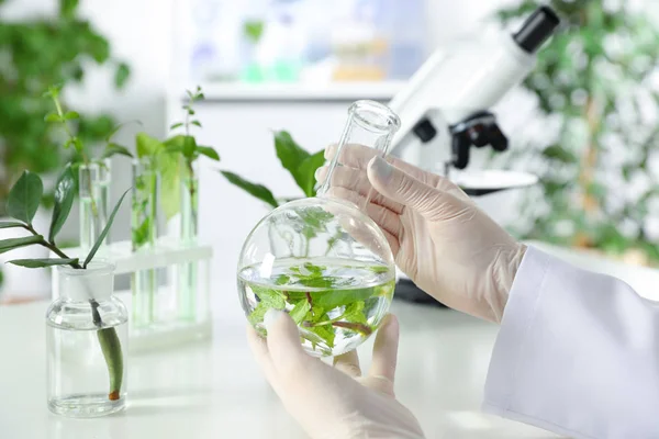 estudioscientificos